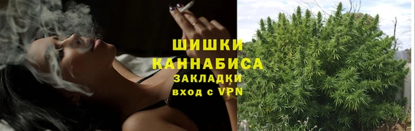 бошки Алзамай